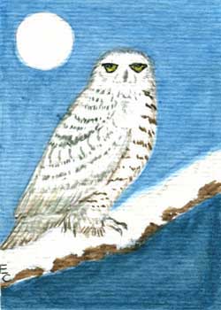 "Icey The Owl" by Elizabeth Clayton, Brookfield WI - Watercolor (NFS)